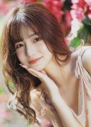 元展商业无限公司和恒邦微电子无限公司此前已