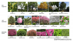 输入“售后+房号”可及时查询维修进度房地产行